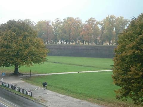 Hotel Rex, View from property