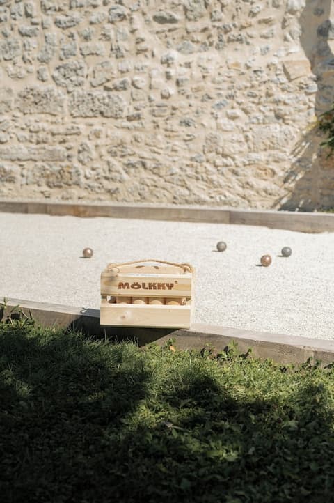 Chateau des Comtes de Challes