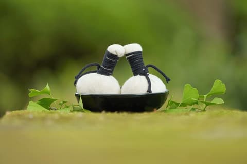 Terra Nostra Garden Hotel