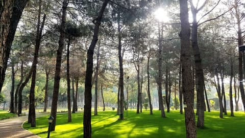 IC Hotels Airport, Property grounds