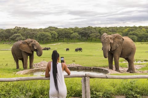 Hwange Safari Lodge