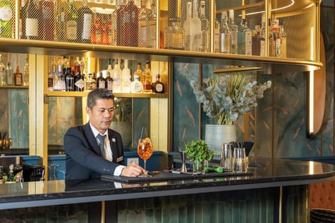 DoubleTree by Hilton Florence Metropole, Bar (on property)