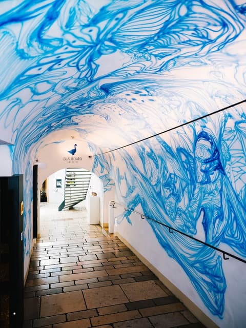 Arthotel Blaue Gans, Interior entrance