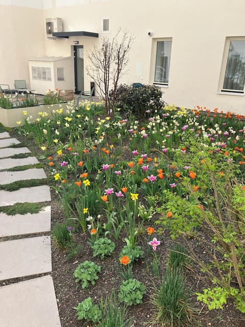 Hotel Beranek Prague, Terrace/patio
