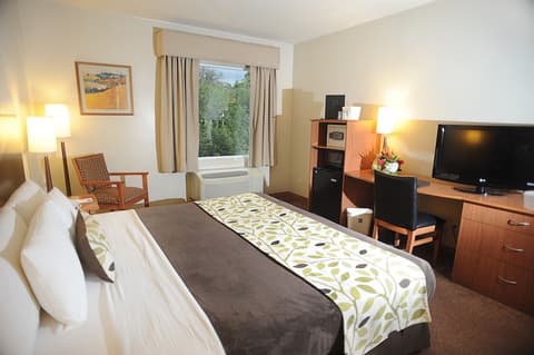 Sleep Inn San José Downtown, Room