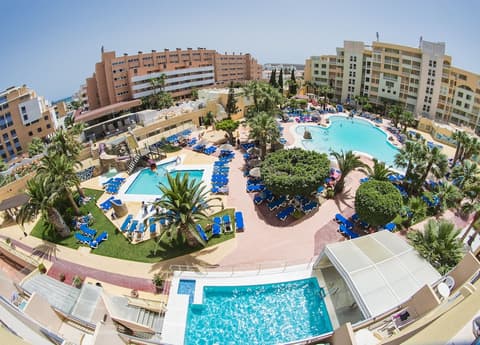 ALEGRIA Fénix Family