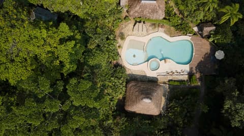 Socia/tel Amazon Tena