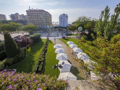 DWO Sirius -Adults Only