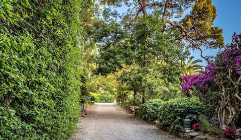 Palazzo Belmonte, Reception
