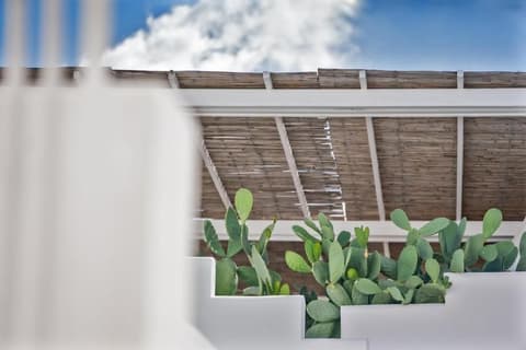 Relais Corte Palmieri