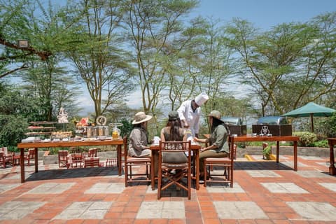 Sarova Lion Hill Game Lodge, Property grounds