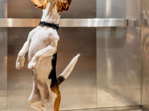 ibis Madrid Aeropuerto Barajas