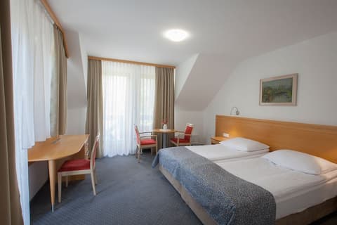 Hotel Jezero, Room