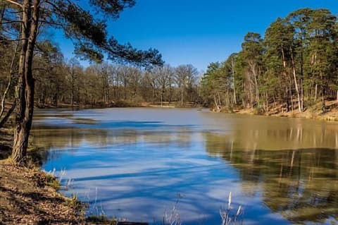 Hotel Première Classe Saint Quentin En Yvelines - Elancourt