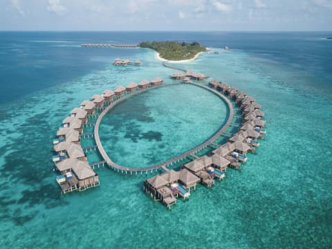 Coco Bodu Hithi