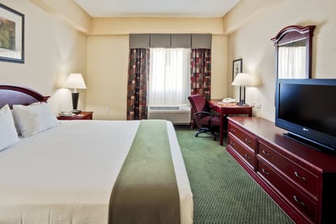 Holiday Inn Express & Suites West Palm Beach Metrocentre by IHG