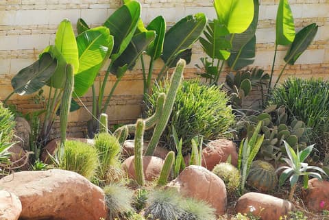 Timoulay Hotel & Spa Agadir, Living area