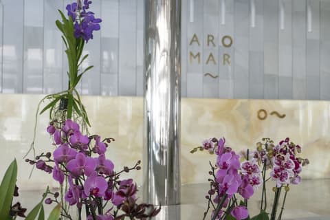 Hotel Aromar, Interior entrance