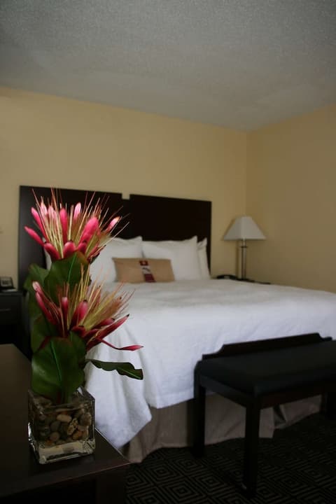 Hampton Inn & Suites Orlando-John Young Pkwy/S. Park