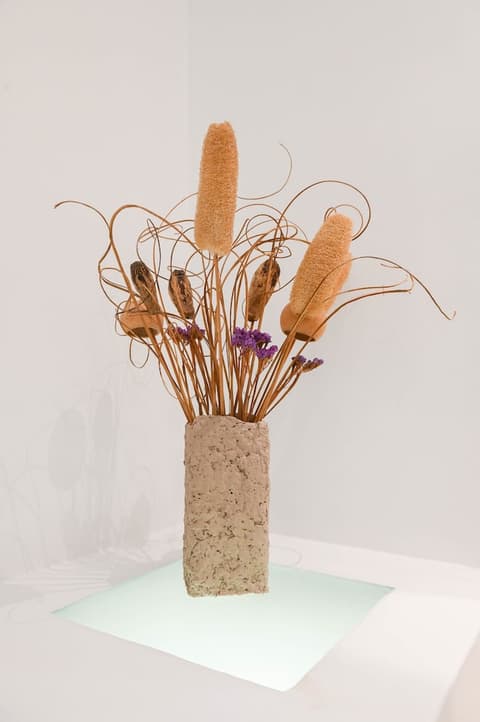 Amerisa Suites & Villa, Reception