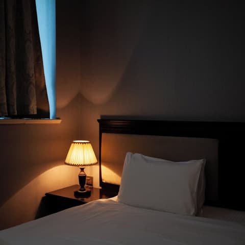 Ramada by Wyndham Baku, Room