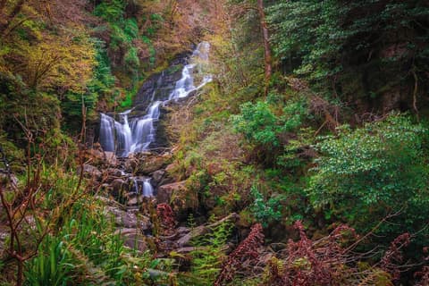 Killarney Heights Hotel