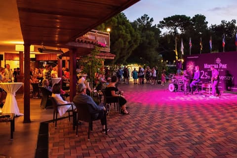 Montana Pine Resort - All Inclusive, Theater show