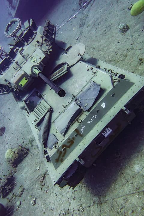 Southern Star Club, Point of interest