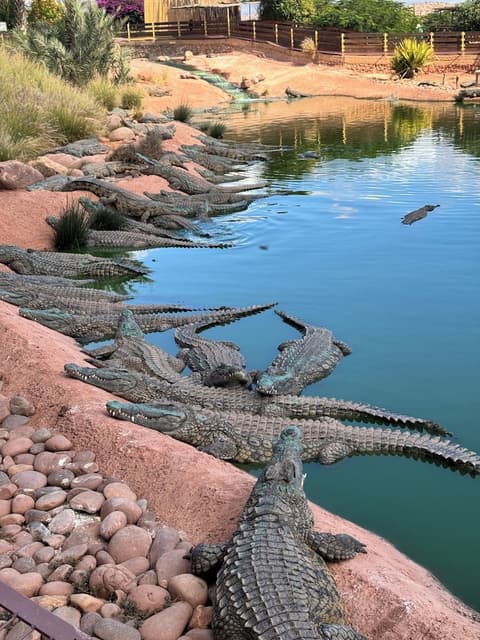 Villa jardin de l'ocean