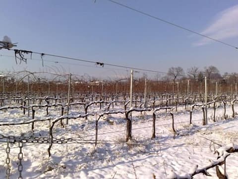 Agriturismo Caspineda