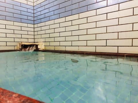 Ryokan Kaminaka, Pool