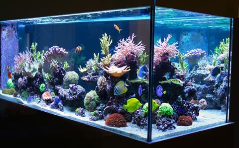 HOTEL THE HOTEL Shinjuku Kabukicho - Adults Only