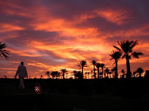 Les Jardins de Skoura, Garden