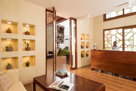 Nungwi Dreams by Mantis, Reception