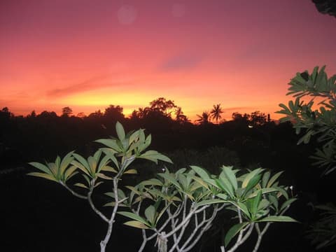 Desak Putu Putra Homestay