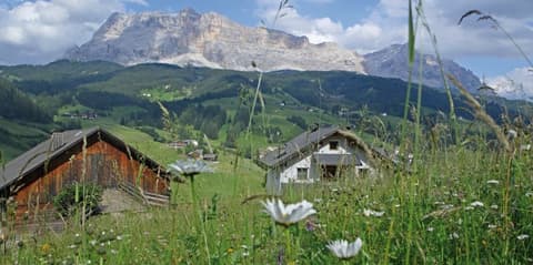 Naturhotel die Waldruhe, Hiking