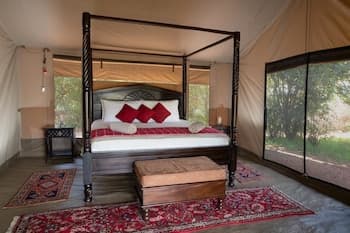 HAMMERKOP MIGRATION CAMP, Room