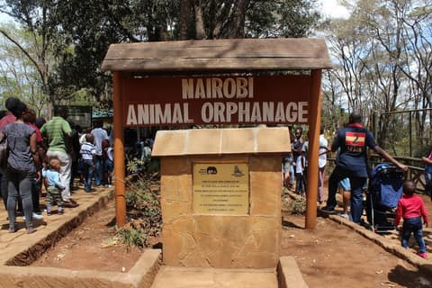 ibis Styles Nairobi Westlands, Game viewing