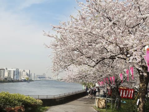 Sakura Sky Hotel, Point of interest