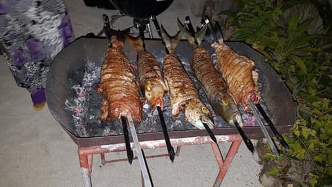 Hanifaru Transit Inn