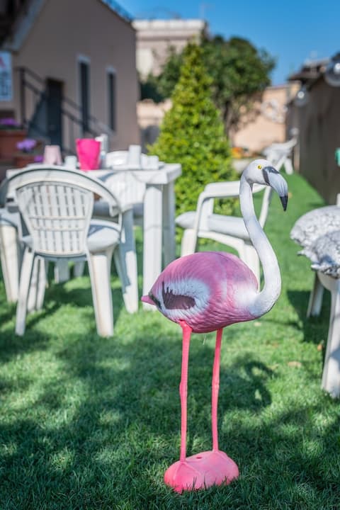 ORCHIDEA HOUSE FIUMICINO two