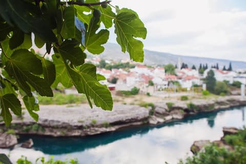 Guest House City Star, View from property