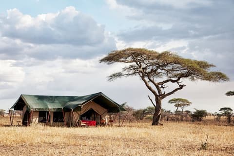 Pumzika Luxury Safari Camp - East Africa Camps