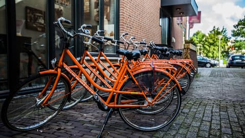 Boutique Suites Lisse - Keukenhof