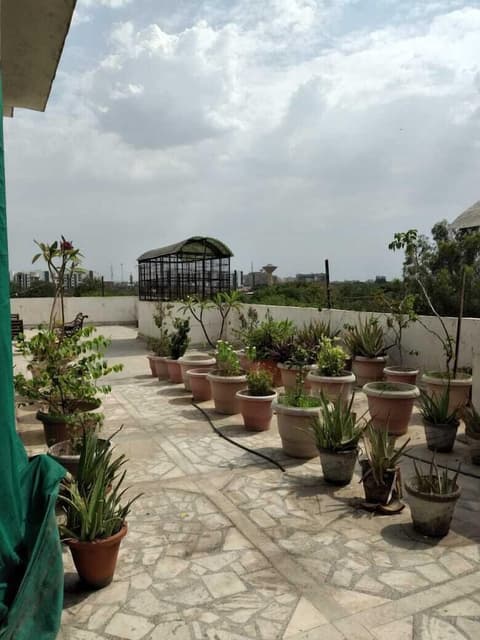 Hotel Prince Palace The Green, Terrace/patio