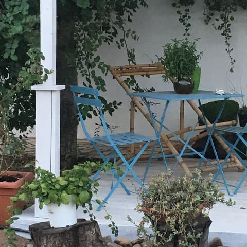 BeB il Pomo D'Oro