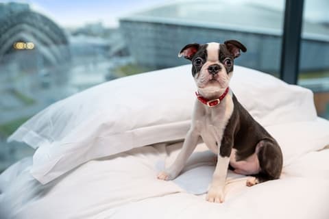 Radisson RED Glasgow