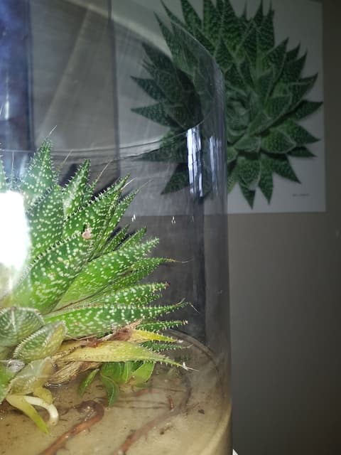 440 At Brooklyn, Room