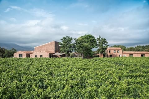 Cavanera Etnea Resort & Wine Experience