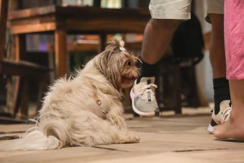 Nílu Puerto Escondido by Selina